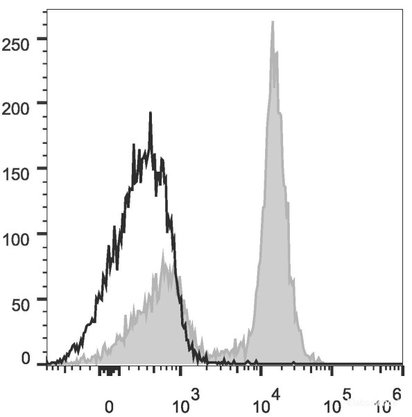 Anti-Mouse CD16/32 (PE Conjugated)[2.4G2], clone 2.4G2