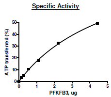 PFKFB3, human recombinant protein, N-terminal His-tag