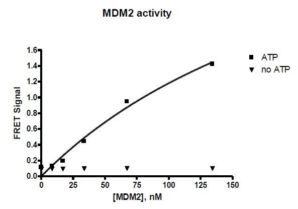 MDM2 TR-FRET Assay Kit