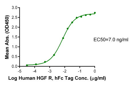 HGF R/c-MET hFc Chimera, Human