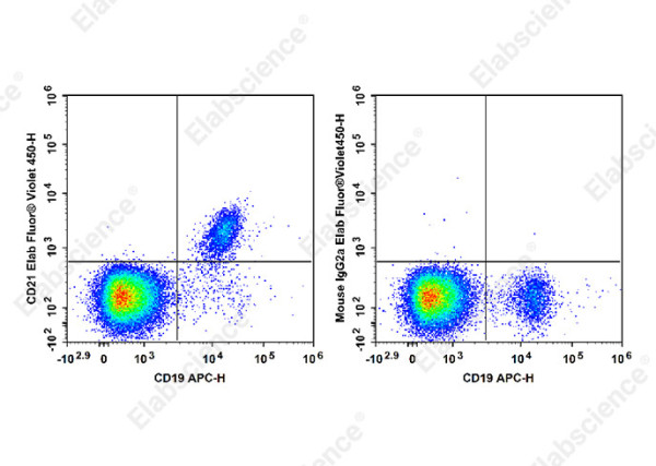 Anti-CD21 (human), clone HI21a, Elab Fluor(R) Violet 450 conjugated