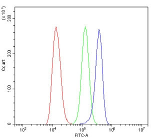 Anti-SLC22A3
