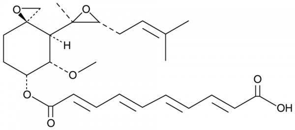 Fumagillin