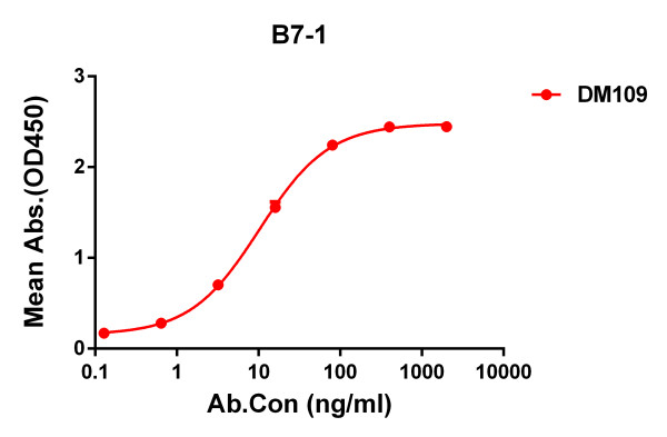 Anti-B7-1 antibody(DM109), Rabbit mAb