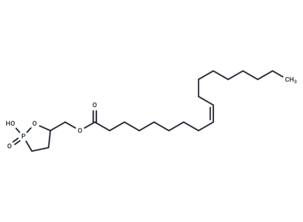 Oleoyl 3-carbacyclic Phosphatidic Acid