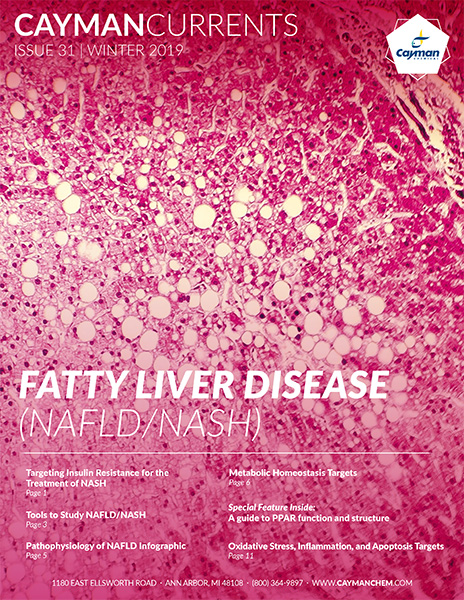 Cayman Currents: Fatty Liver Disease (NAFLD/NASH)