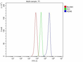 Anti-ADH6 / Alcohol dehydrogenase 6