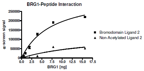BRG1 Inhibitor Screening Assay Kit