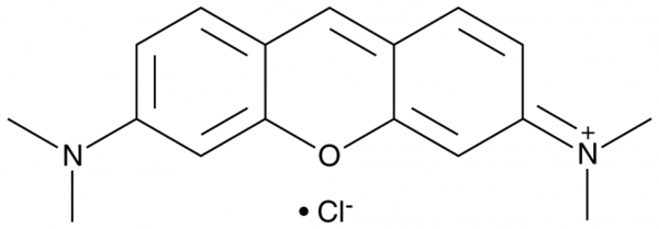 Pyronin Y