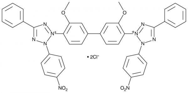 Nitro Blue Tetrazolium (chloride)