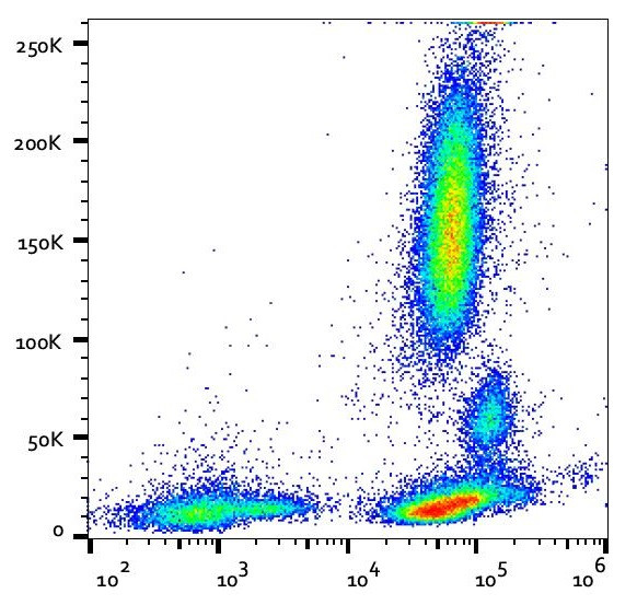 Anti-CD162 / PSGL-1, clone TC2 (APC)