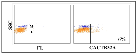 Anti-WC1+ gamma delta T cell (WC1-N3 epitope) (bovine), clone CACTB32A