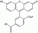 6-FAM (6-Carboxyfluorescein) *Validated for labeling oligos*