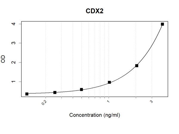Anti-Human CDX2 Antibody Pair