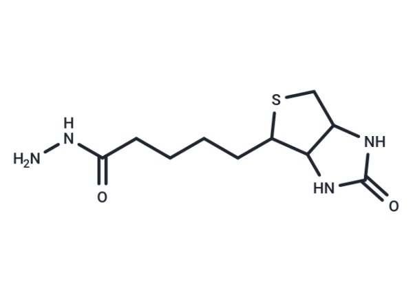 Biotin Hydrazide