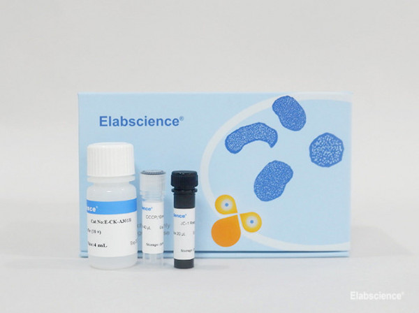 Mitochondrial Membrane Potential Assay Kit (with JC-1)