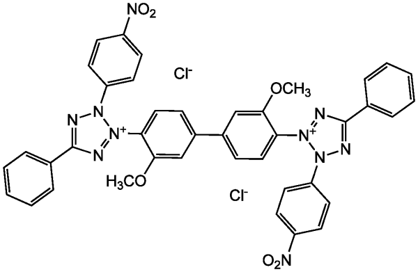 Nitrotetrazolium blue chloride