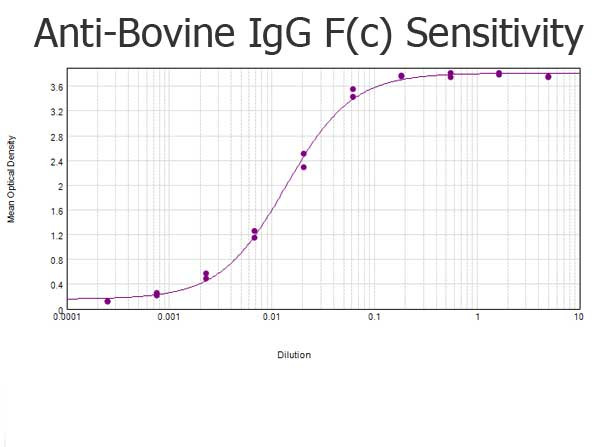 Anti-Bovine IgG F(c) [Rabbit]