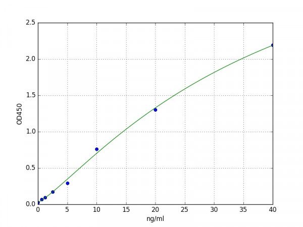 Human NDRG1 ELISA Kit