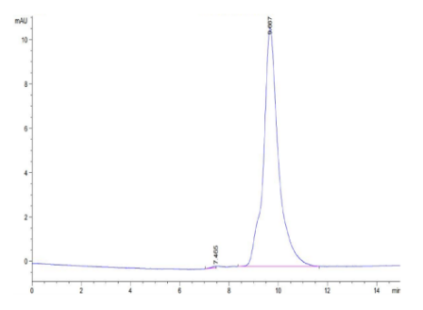 uPAR/PLAUR Domain 1, His, Human