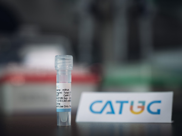 CatPure(TM) CD19 CAR mRNA