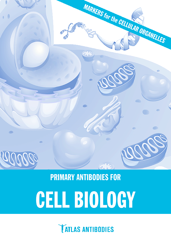 Atlas Antibodies in Cell Biology