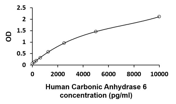 Human CA6 / Carbonic Anhydrase 6 ELISA Kit