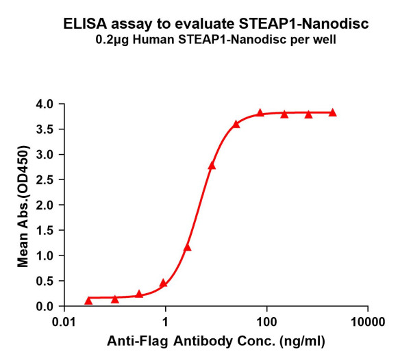 STEAP1 (human) full length protein-synthetic nanodisc