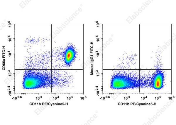 FITC Anti-Mouse CD66A Antibody[Mab-CC1]