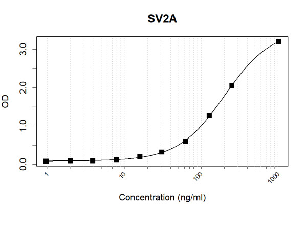 Anti-Human SV2A Antibody Pair