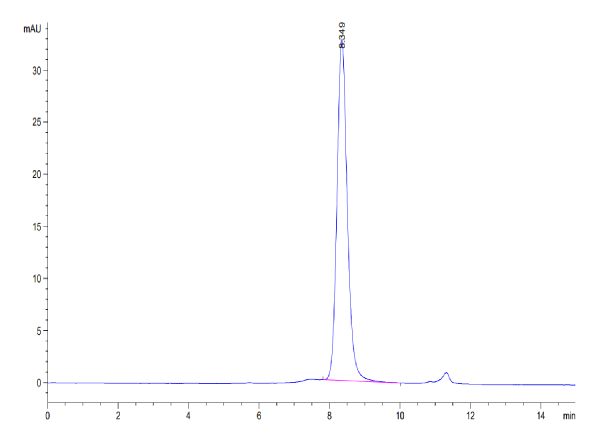 Human CYTL1/C17 Protein