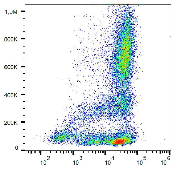 Anti-CD62L, clone LT-TD180 (PE)