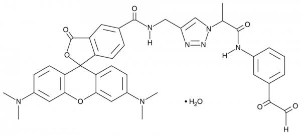 Citrulline-specific Probe-rhodamine