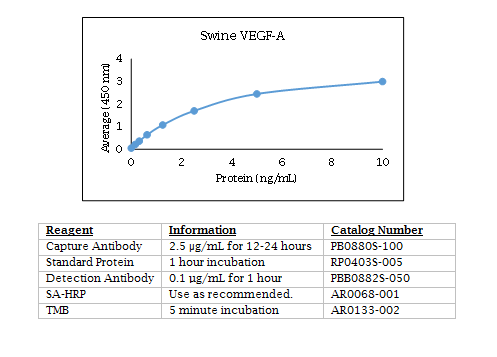 Anti-Vascular Endothelial Growth Factor-A (VEGF-A) (swine)