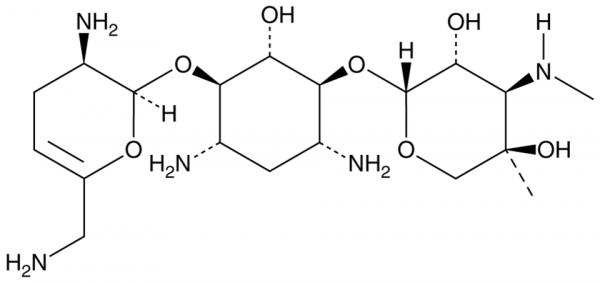 Sisomicin