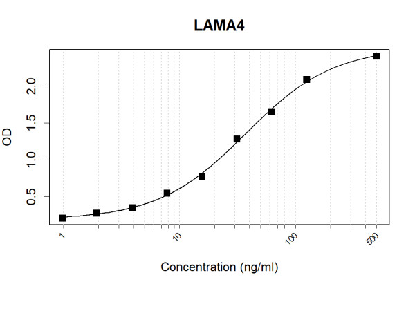 Anti-Human LAMA4 Antibody Pair