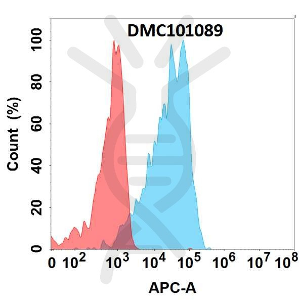 Anti-DLL3 antibody(67E6), IgG1 Chimeric mAb