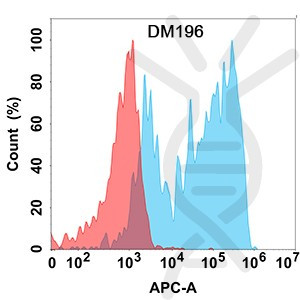 Anti-CCR8 antibody(DM196), Rabbit mAb