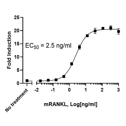 NFAT Luciferase Reporter RAW264.7 Cell Line