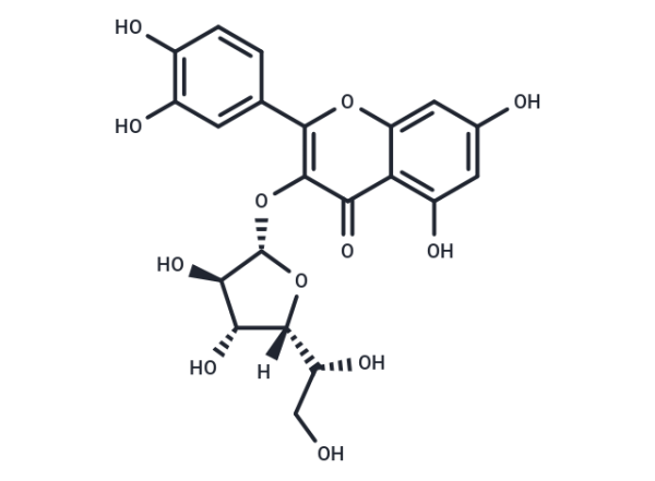 Isotrifoliin