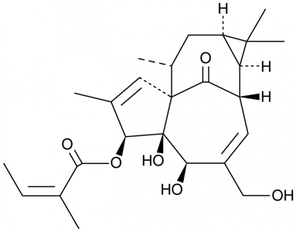 Ingenol-3-angelate