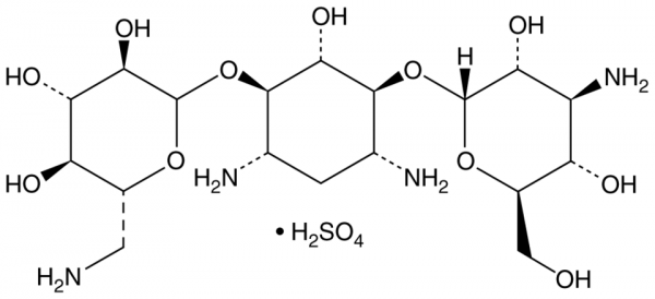 Kanamycin A (sulfate)