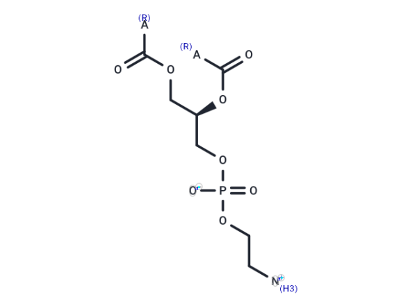Phosphatidylethanolamines (soy)