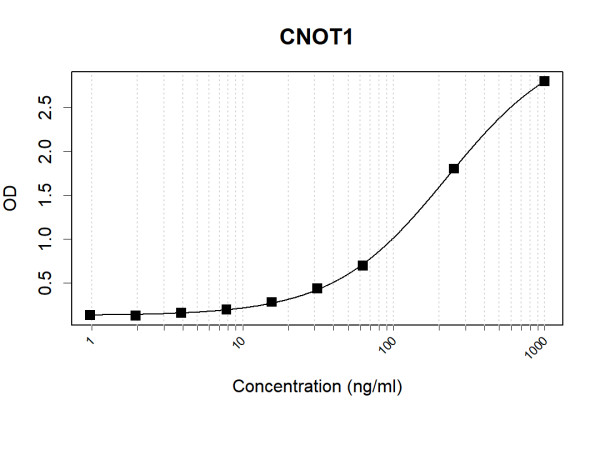 Anti-Human CNOT1 Antibody Pair