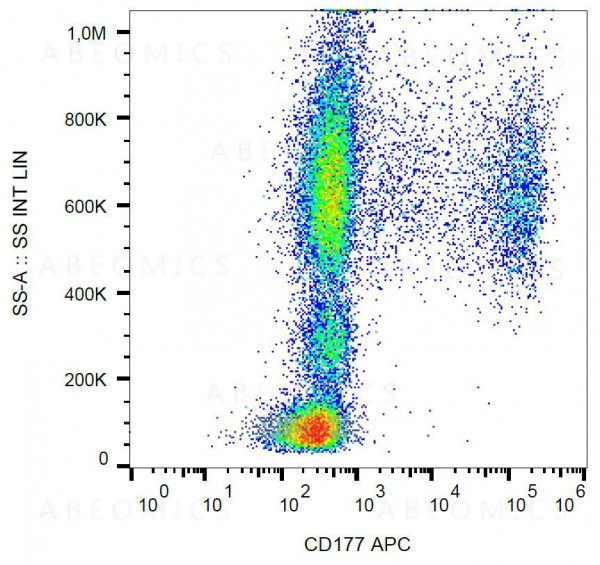 Anti-CD177 Monoclonal Antibody (Clone:MEM-166)-APC Conjugated