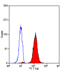 Anti-Myeloperoxidase / MPO (FITC), clone 2C7