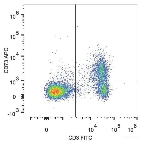 Anti-Mouse CD73, APC conjugated, clone TY/23