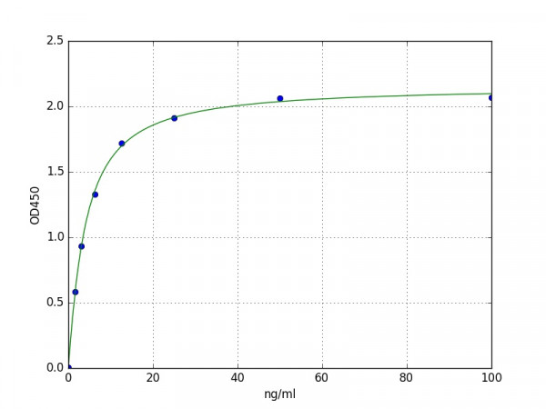 Human ALAD ELISA Kit