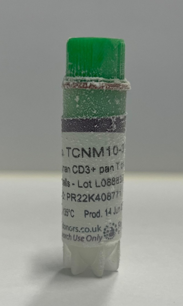 Frozen human CD3+ pan T cells - female donor