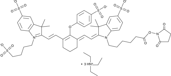 iFluor(TM) IRD 800 CW SE